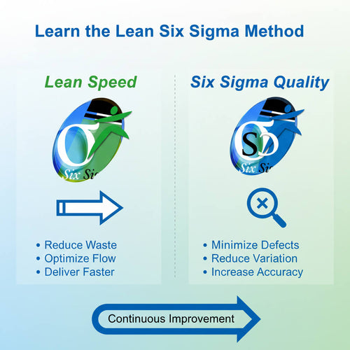 Lean Six Sigma als Methode